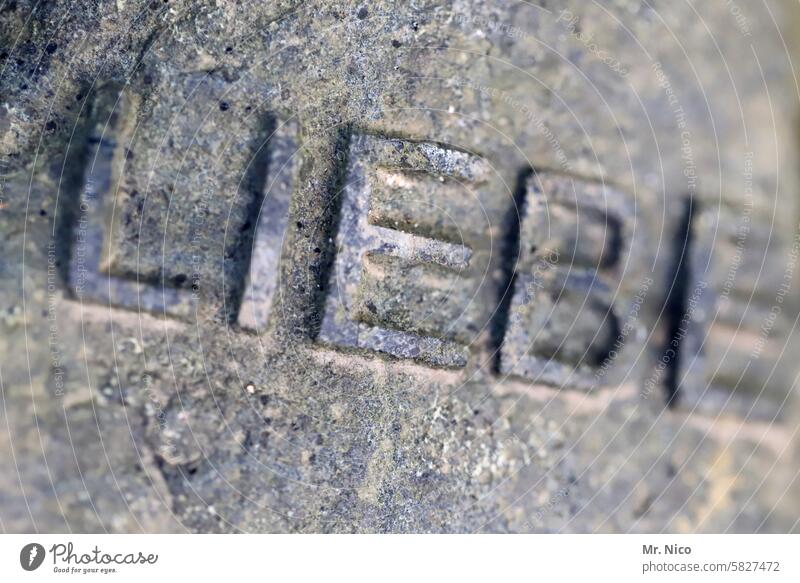 Liebe Romantik Schriftzeichen Steinmetz Bildhauer Grabmal Aufschrift grau Beschriftung gemeißelt Sympathie Symbole & Metaphern Wort Zuneigung Buchstaben