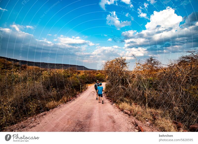 wege und pfade weite Einsamkeit Wolken Wege & Pfade Abenteuer Himmel traumhaft Natur besonders Ferien & Urlaub & Reisen Fernweh Ferne Landschaft Namibia Afrika