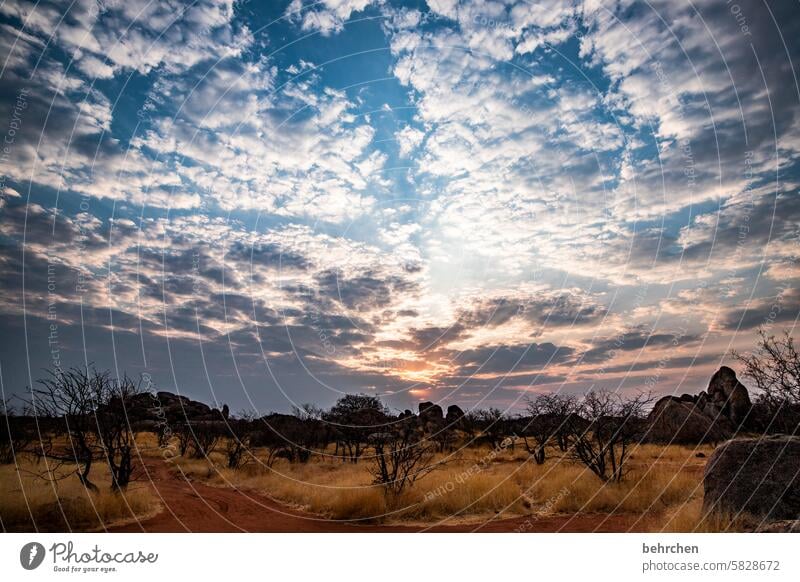 wolkengeschichten Sonnenaufgang magisch Sonnenlicht Wolken Abenddämmerung traumhaft Wärme Himmel besonders beeindruckend Abenteuer Natur