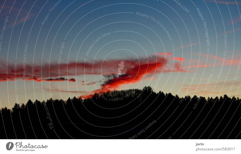 zeichen Umwelt Natur Landschaft Himmel Wolken Sonnenaufgang Sonnenuntergang Klimawandel Schönes Wetter Baum Wald außergewöhnlich bedrohlich natürlich rot