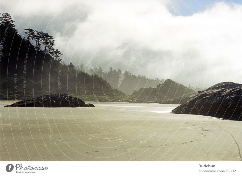 Morning, Tofino Strand Sand Nebel Sonnenaufgang Westküste Wald Pazifikstrand Kanada Küste morning fog rocks trees west coast Vancouver Island rainforest