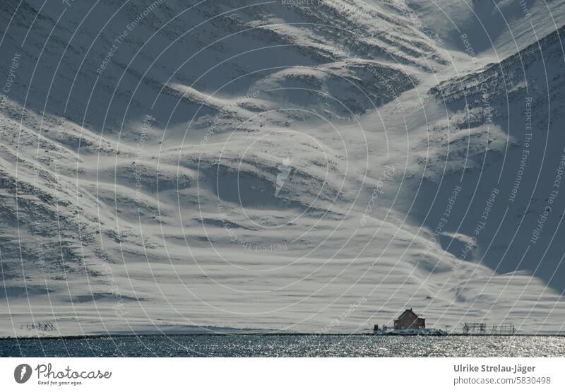 Norwegen | einsames Haus am Fjord vor einer schneebedeckten Bergwand schneebedeckter Berghang Berge u. Gebirge steiler Hang Felsen Schnee Kälte Einsamkeit Natur