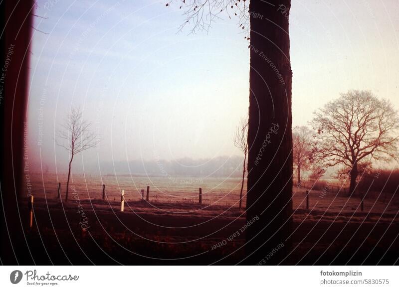 Herbstwinter-Stimmung an Landstraße Winter Melancholie Landschaft Straße landstraße feld nebelig melancholisch stimmung Natur retro Erinnerung Winterstimmung