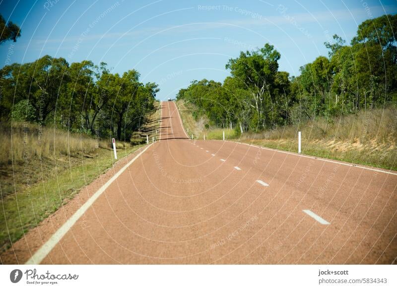 endlos geradeaus die Straße entlang Verkehrswege Roadmovie unterwegs Fahrbahnmarkierung Landstraße Ferne Wolkenloser Himmel Strecke Umwelt außerorts on the road