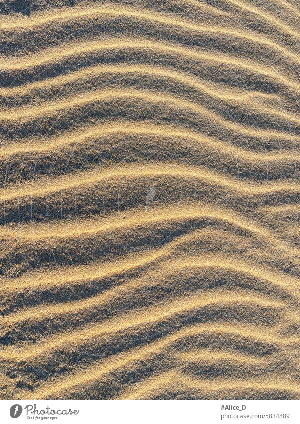 Ripples In the Sand, Sanddüne Textur Düne abstrakt Kunst Hintergrund Hintergründe unfruchtbar Strand Strandsand schön Schönheit beige Nahaufnahme Küste