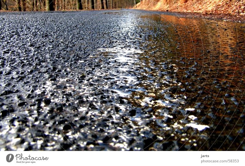 Asphalt nass Verkehrswege Gewitter Straße Regen Sonne Wege & Pfade jarts