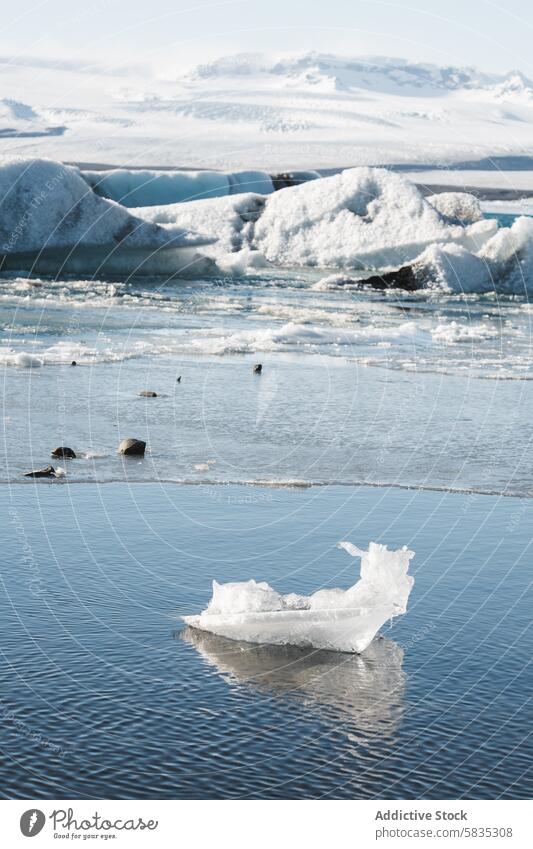 Ruhige Gewässer mit schwimmendem Eis und schneebedeckten Bergen in der Ferne Wasser Ruhe Island Natur Landschaft Schnee Berge u. Gebirge Himmel blau kalt