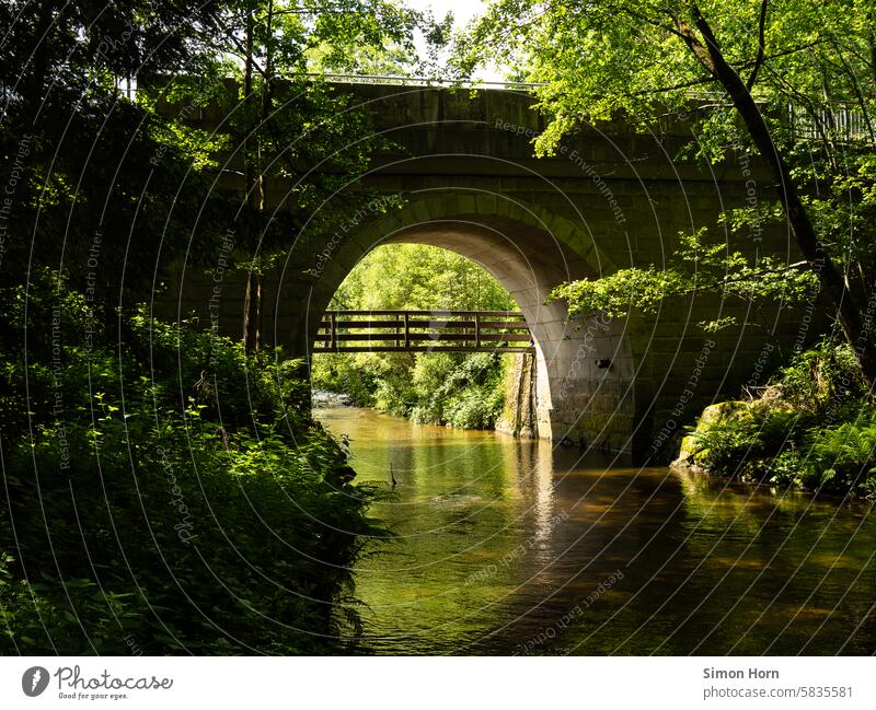 Zwei Brücken, die sich in Material, Größe und Form unterscheiden, führen über einen Fluss Vergleich Unterschied Flusslauf Bach Fließgewässer eingewachsen