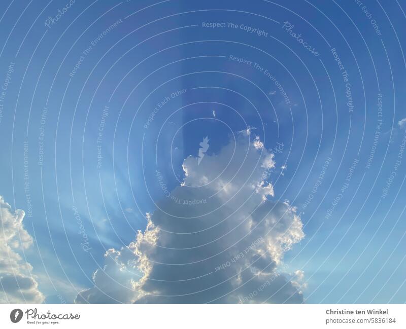 spannend | Wolkenformationen am Himmel beobachten Sonnenlicht Gegenlicht bizarre Wolken Sonnenstrahlen blau weiß himmelblau Schönes Wetter wetter Umwelt Sommer