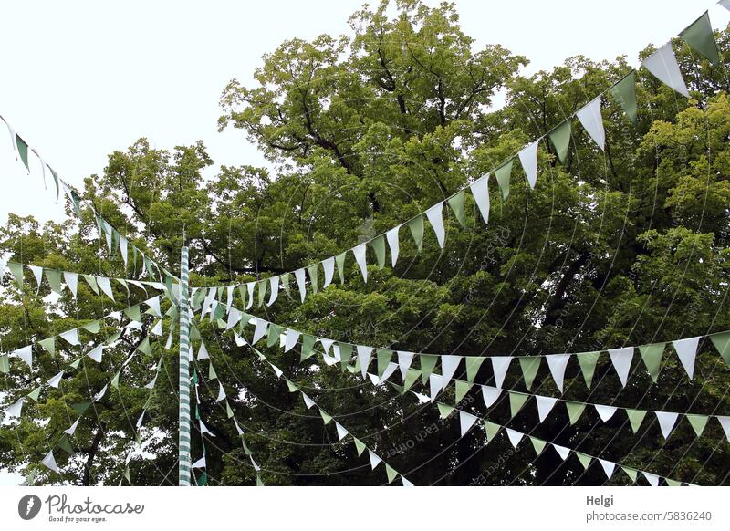 sprichwörtlich | wie das Fähnchen im Wind Dekoration Feier Fest festlich geschmückt Sommerfest Schützenfest Dekoration & Verzierung Party Feste & Feiern