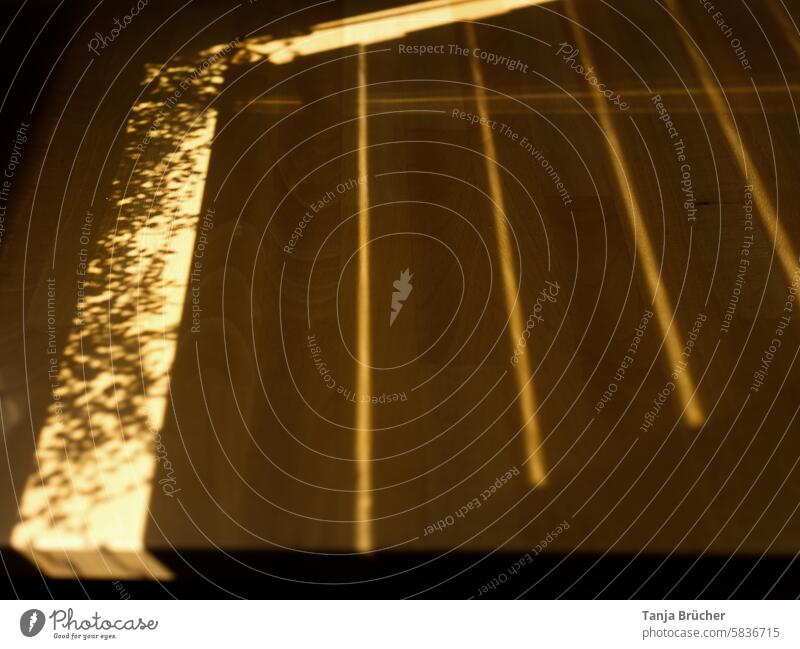 Sonnenschein malt Muster auf den Tisch Spiel mit Licht und Schatten Licht und Schattenspiel Licht & Schatten hell und dunkel hell & dunkel Lichteinfall