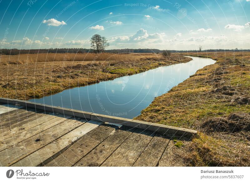 Eine Holzbrücke über einen kleinen Fluss Brücke hölzern Polen Steg Himmel Baum Horizont Gras Windstille Wiese Landschaft horizontal Fotografie Natur Tag Wasser