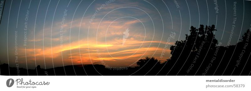 das Ende des Tages Streifen Nacht Silhouette Panorama (Aussicht) Baum planen stehen brennen Licht schwarz gelb Wellen Hügel Wolken Romantik Luft Abend Himmel