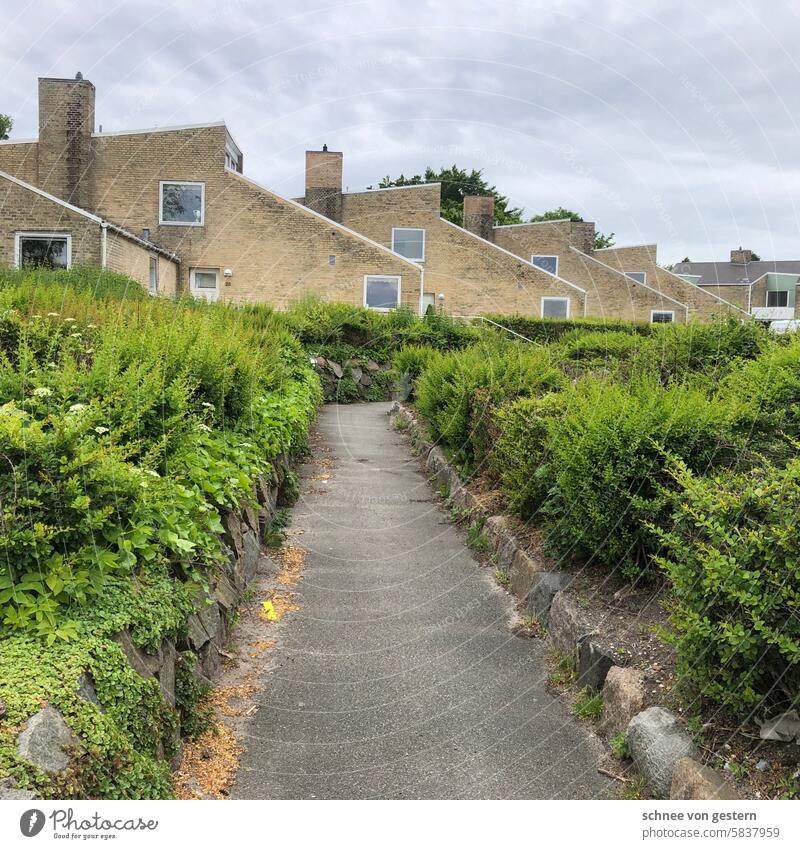 Schöner Wohnen Licht Vergänglichkeit Straßen Häusliches Leben Tür Mauer Bauwerk Stadt Farbfoto Menschenleer Wand Außenaufnahme Fassade Gebäude Haus Architektur