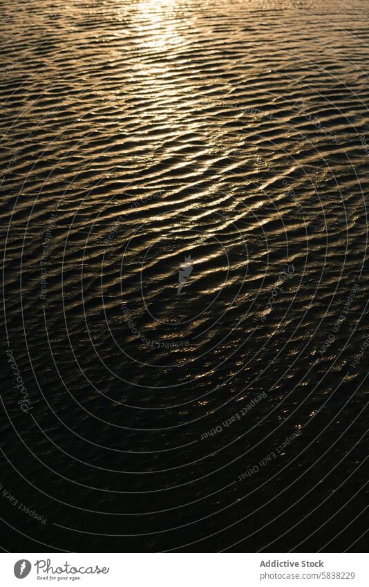 Goldenes Wasser plätschert bei Sonnenuntergang Rippeln golden Licht Gelassenheit ruhig Textur Oberfläche Natur Reflexion & Spiegelung friedlich Windstille