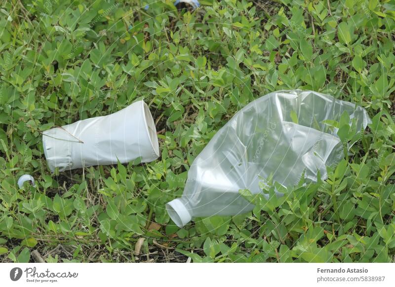 Abfälle. Abfälle. Müll in der Natur. Gruppe von freiwilligen Umweltschützern, die Plastikmüll im Park aufsammeln. Aktivisten, die Müll sammeln, um den Planeten zu schützen, Verschmutzung zu vermeiden und die Umwelt zu retten. Basuraleza.