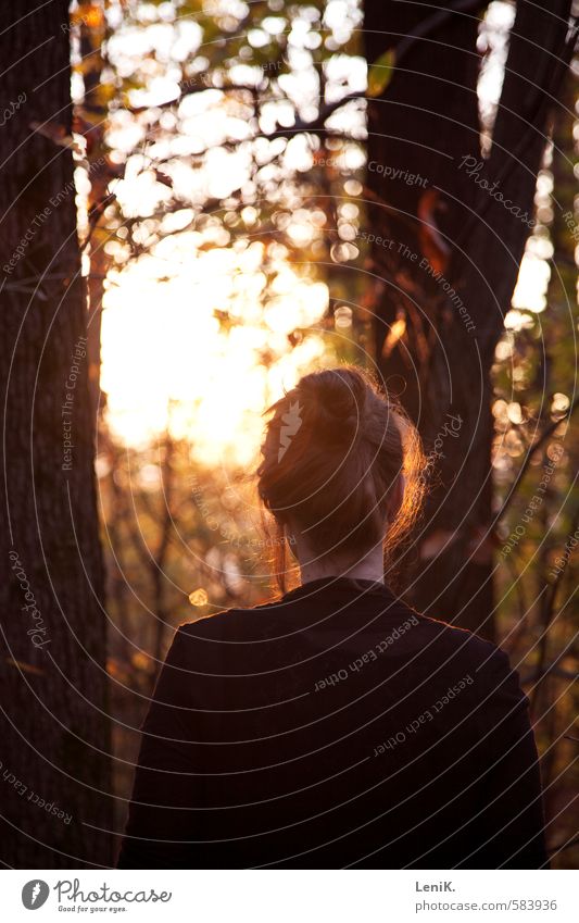 Fallen Junge Frau Jugendliche Haare & Frisuren 1 Mensch Natur Sonnenaufgang Sonnenuntergang Sonnenlicht Herbst Baum Denken träumen warten schön einzigartig