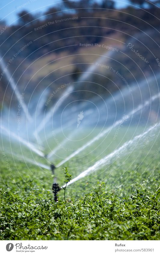 Sprenger Garten Gartenarbeit Bauernhof Landwirt Heu Bewässerung Sprinkleranlage Beregnungsanlage Rasensprenger Gartensprinkler Wasserkraftwerk Umwelt Landschaft