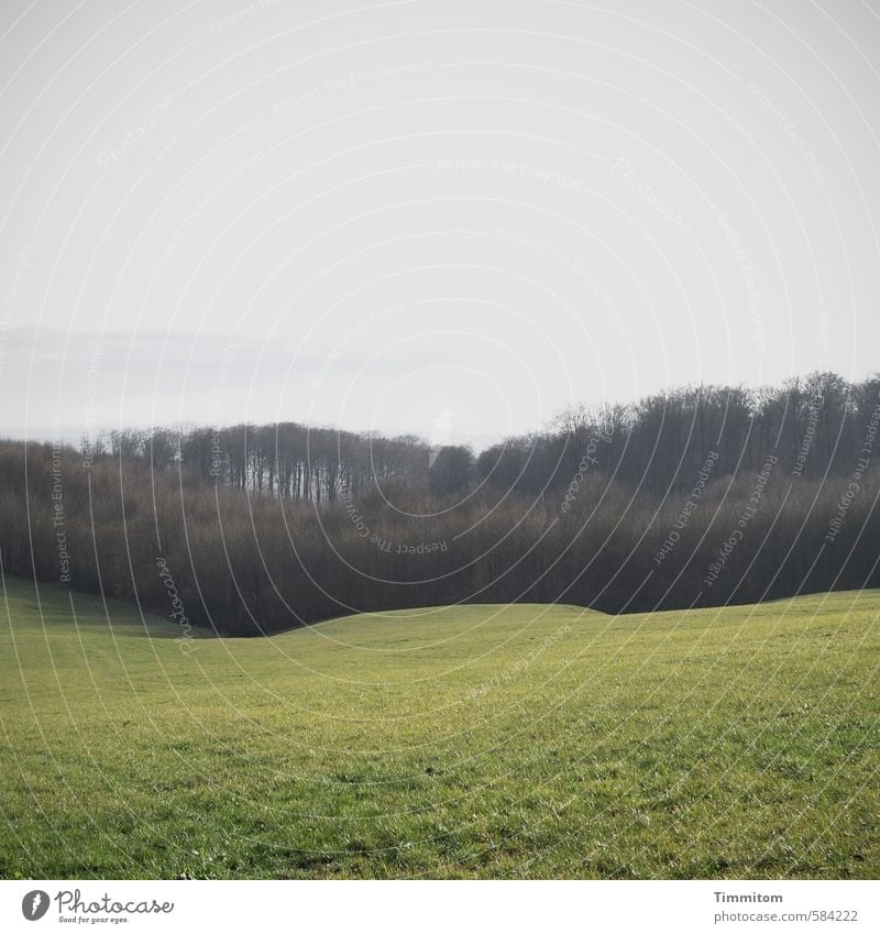 Landschaft. Umwelt Herbst Wiese Wald Hügel ästhetisch braun grau grün Gefühle Natur Kraichgau sanft Dunst Strukturen & Formen Farbfoto Gedeckte Farben