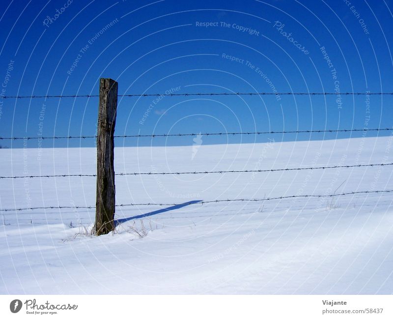 ausgebüxt Winter gefroren kalt Stacheldraht Säule Zaun Grenze gefangen Horizont Himmel Wiese Deutschland weiß Hintergrundbild Natur ruhig cold icy frozen Schnee