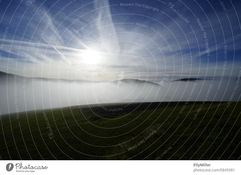 Morgennebel im Schwarzwald Natur Landschaft Nebel Umwelt Stimmung Menschenleer Nebelstimmung Morgenstimmung Licht Nebelschleier Morgendämmerung ruhig