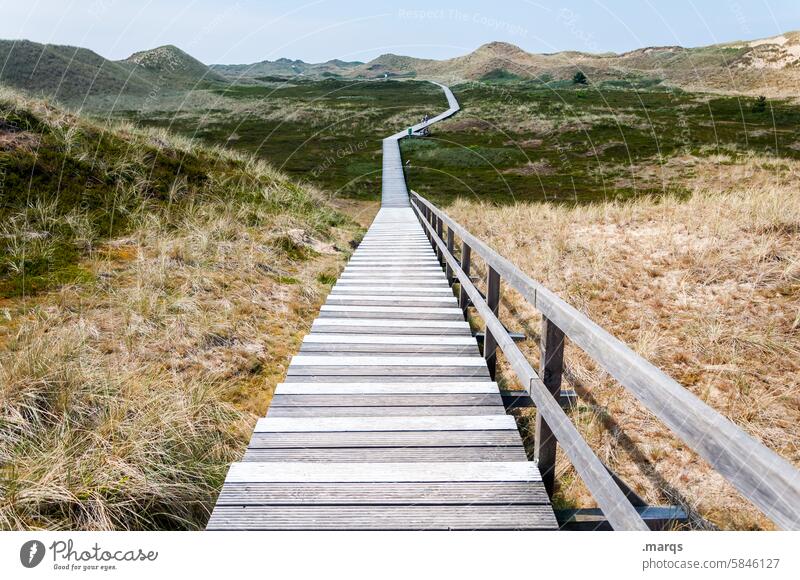 Ein weiter Weg Bohlenweg Dünengras Himmel Umwelt Küste Landschaft Natur Erholung Klima Idylle Holzweg Naturschutzgebiet Fußgängerweg Wege & Pfade