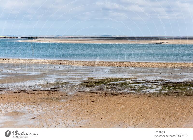 Strand Meer Nordsee Landschaft Nordfriesland Wattenmeer Küste Natur Wasser Nordseeküste Umwelt Gezeiten maritim natürlich Nordfriesische Inseln Amrum Himmel