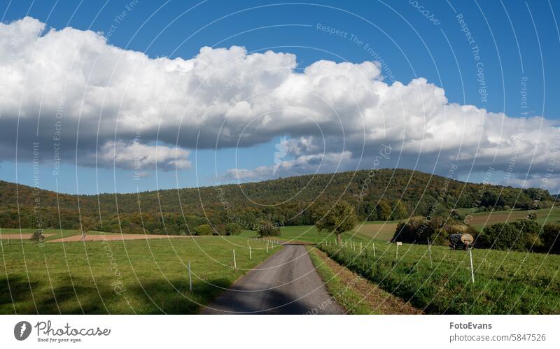 Landstraße zwischen Feldern mit blauem Himmel Weg sonnig Textfreiraum Landschaft Natur Wiese Hintergrund Wälder unbefestigter Weg Ackerbau Bäume Straße