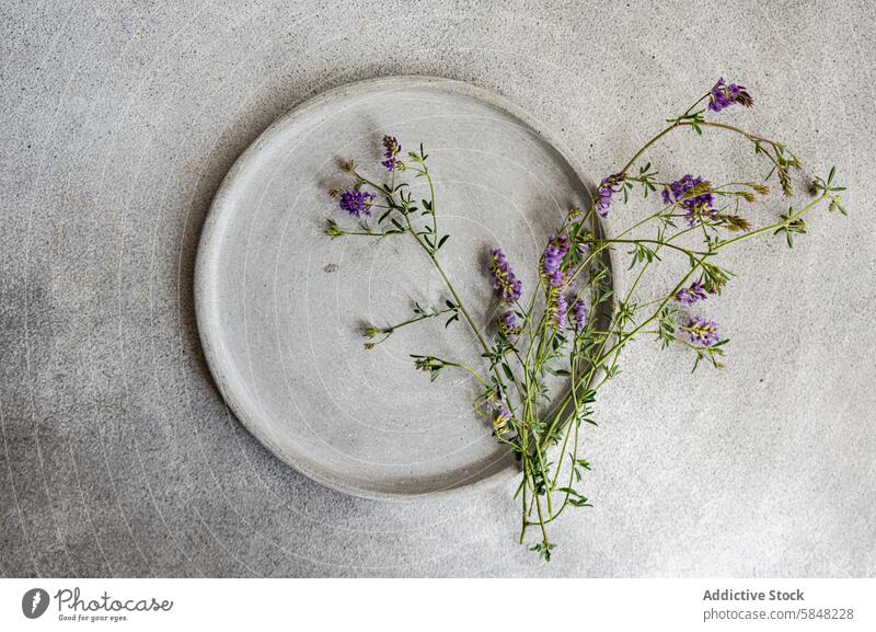 Minimalistisch gedeckter Sommertisch mit Wildblumen Draufsicht oben Tabelleneinstellung minimalistisch Keramikteller violette Blumen Ordnung Einfachheit Dekor