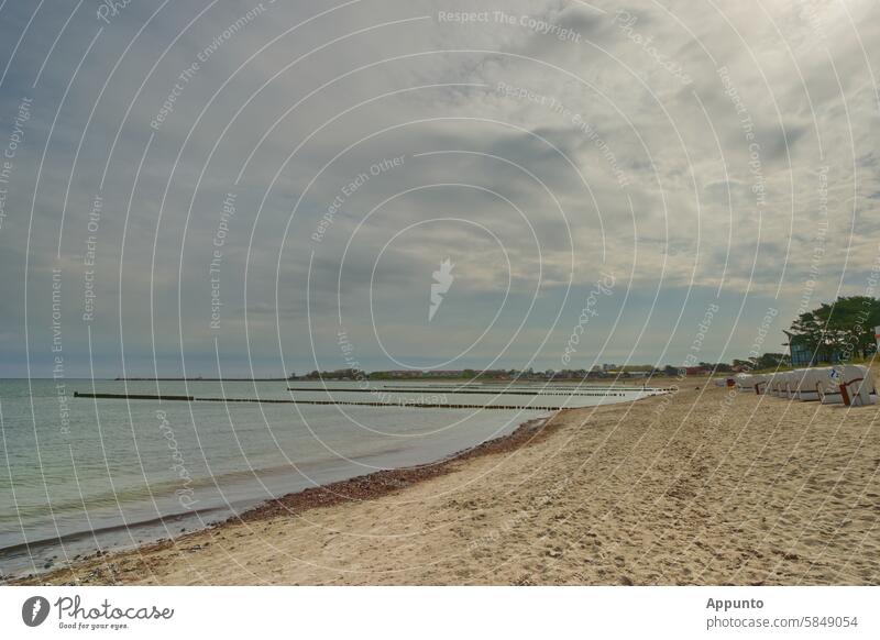 Am Ostseestrand auf der Insel Rügen, Deutschland Strand Sandstrand Wasser Wellen Meer Baltisches Meer blau weiß Buhnen Wolken Urlaub Ferien Tourismus Touristik