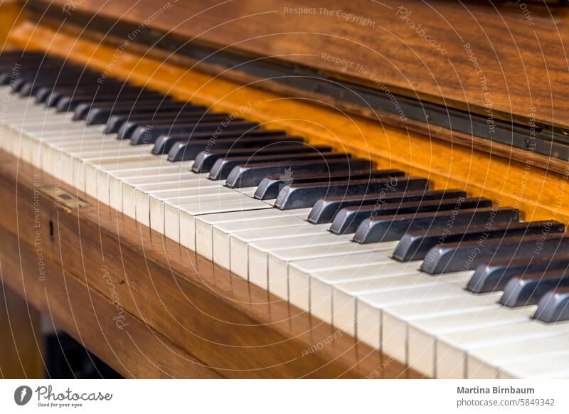 Nahaufnahme von Elfenbein- und Ebenholztasten auf einem alten Klavier Leistung Musik Instrument Konzert Klassik schwarz Keyboard spielen Kunst Harmonie Taste