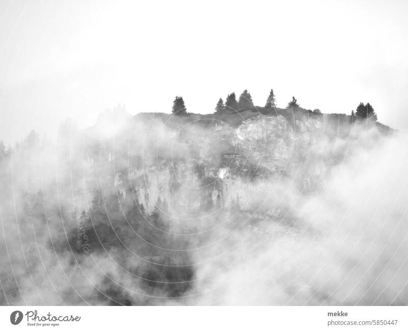 Benebelte Berge Berge u. Gebirge Gipfel Wolken Landschaft Himmel Felsen Alpen Natur Umwelt wandern Tourismus Nebel Nebelwald Bäume hoch Hügel Sicht Sichtweite