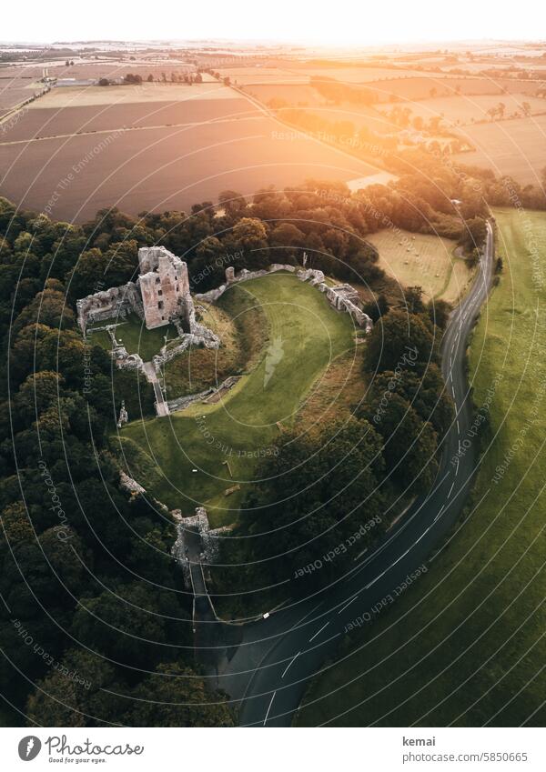 Burg in England Schottland Grenze Grenzburg Ruine grün Sonnenaufgang Straße Idylle Bäume Burg oder Schloss Menschenleer historisch Sehenswürdigkeit Feld