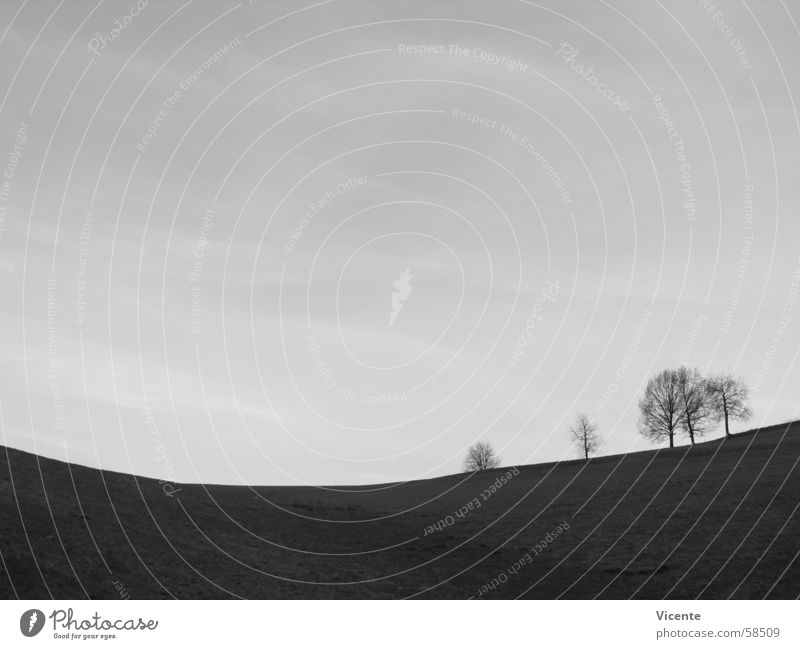 Smiling Valley Baum schwarz weiß grau Cirrus dunkel Einsamkeit Schwarzweißfoto Tal Berge u. Gebirge Himmel Bogen hell Kontrast Natur Landschaft