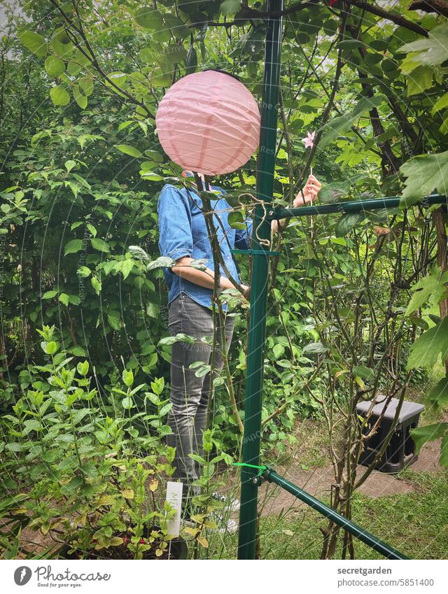 Naturwunder Frau Garten Schrebergarten lustig Humor Lampion anonym Gärtnerin gärtnern Naturerlebnis Naturliebe Außenaufnahme grün Umwelt Sommer Pflanze