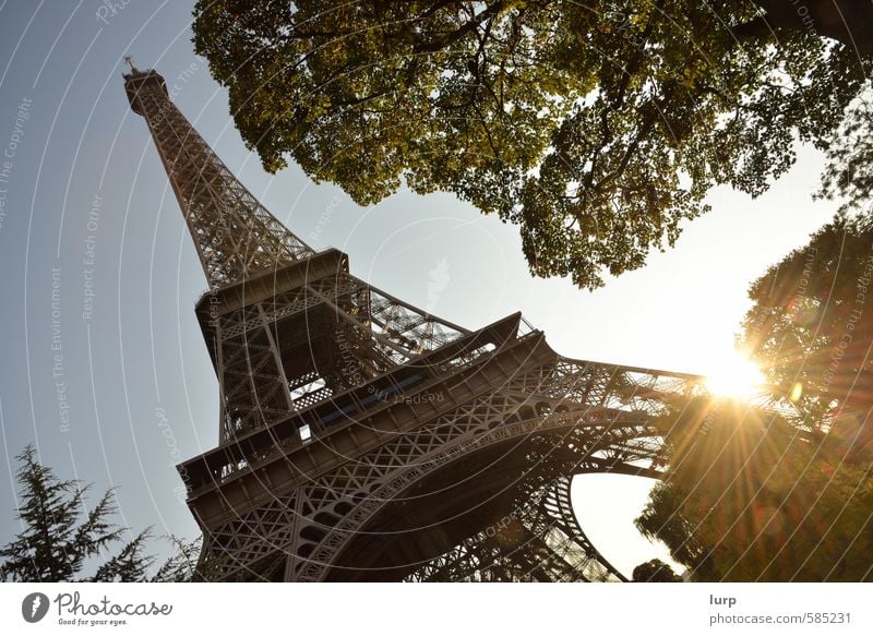 Der Klassiker Sightseeing Städtereise Architektur Himmel Wolkenloser Himmel Sonne Sonnenlicht Sommer Schönes Wetter Pflanze Baum Stadt Hauptstadt Turm Bauwerk