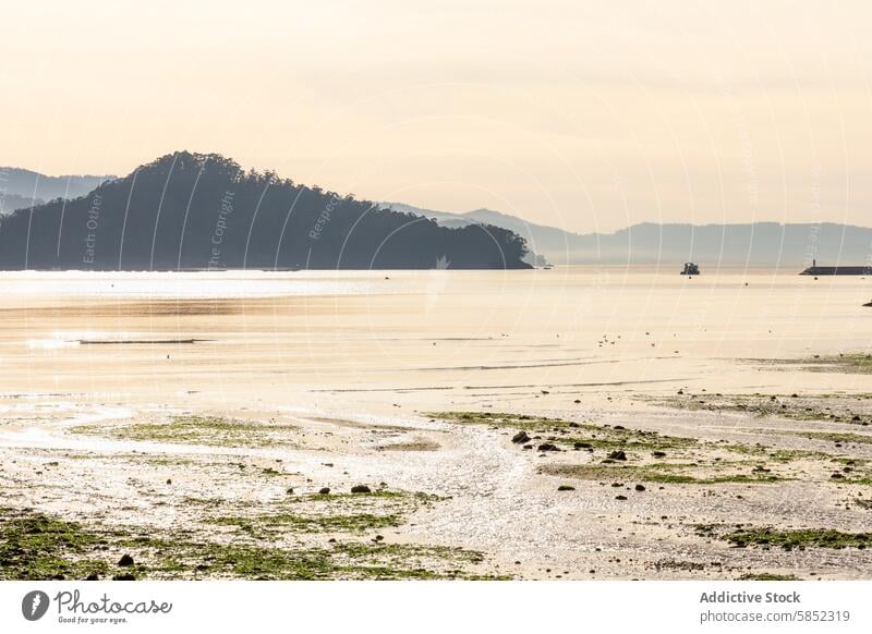 Beschauliche Küstenlandschaft bei Sonnenuntergang Landschaft Sommer Bucht Hügel Ufer Gelassenheit ruhig Windstille Sonnenlicht Dämmerung Abenddämmerung Natur