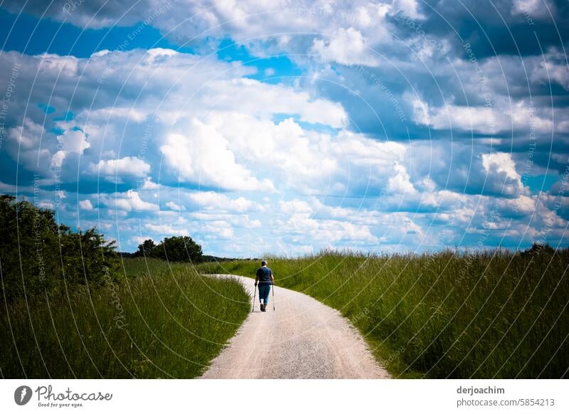 Wanderung an einem schönen Sommertag zwischen grünen Wiesen und strahlend blauem Himmel und weißen Wölkchen. wandern" Außenaufnahme Menschenleer Tag Umwelt