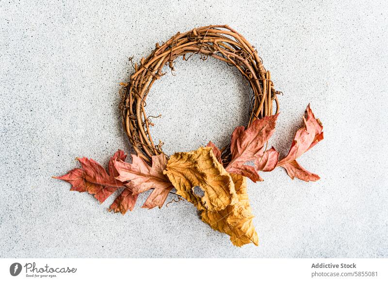 Herbstkranz und getrocknete Blätter auf einem strukturierten Hintergrund Totenkranz getrocknetes Blatt Ast Textur grau rot gelb braun rustikal flache Verlegung