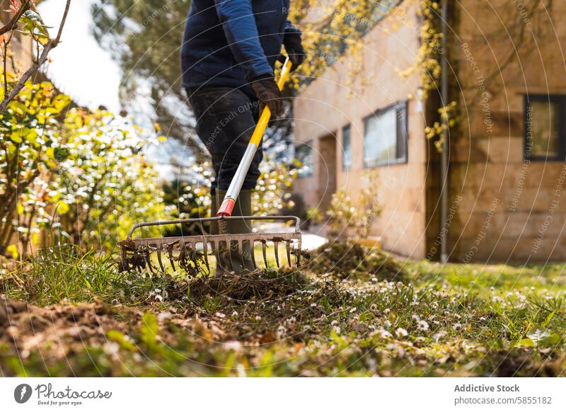 Laubharken in einem sonnigen Garten in der Nähe eines Wohngebäudes Harke Blätter fallen Person Gartenarbeit im Freien wohnbedingt Haus Buchse Blütezeit Tag Hof