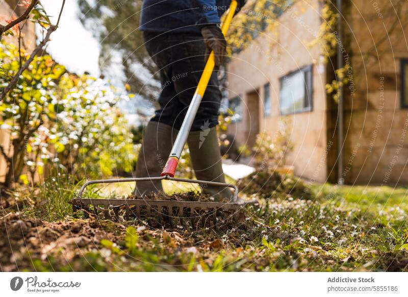 Hausbesitzer harken während der Herbstsaison das Laub im Garten zusammen Harke Blätter fallen Hausbesitzerin Gartenarbeit im Freien Flugzeugwartung Hof Stiefel