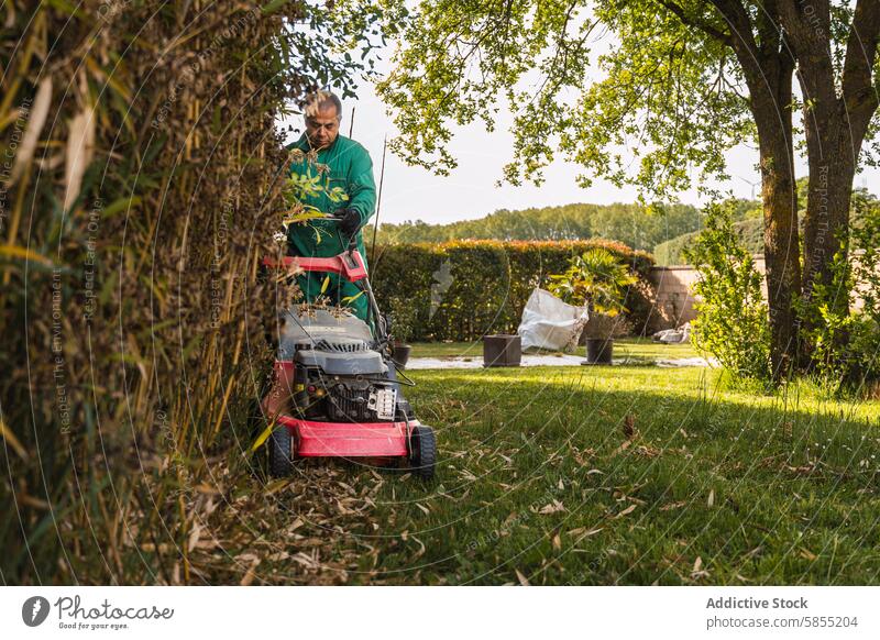 Mann mäht den Rasen in einem sonnigen, üppigen Garten Mähen Tag grün Uniform Gras Flugzeugwartung Gartenarbeit Arbeit im Freien Natur üppig (Wuchs) Laubwerk