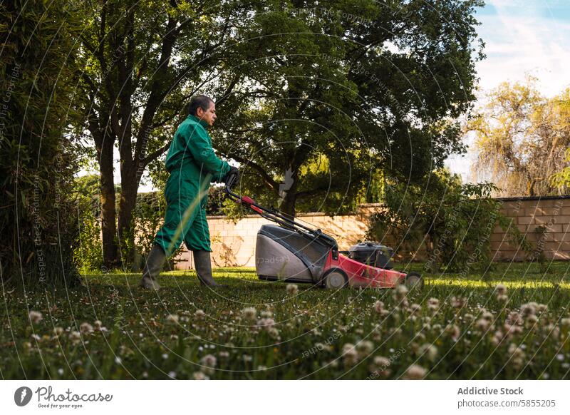 Mann mäht einen üppigen Gartenrasen bei Sonnenuntergang Mähen Rasen Overall üppig (Wuchs) Gelassenheit Landschaft Bäume Wildblume ruhig im Freien Natur