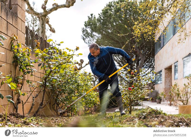 Mann mittleren Alters bei der Gartenarbeit in einem Hinterhof Harke wohnbedingt im Freien Pflanze Überstrahlung Blatt Natur aktiv Arbeit Vorstadt heimwärts