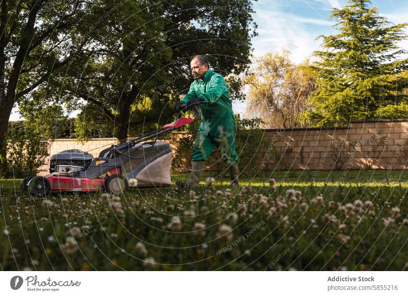 Mann mäht den Rasen in einem sonnigen Garten Mähen grün Uniform Arbeit im Freien Natur Baum Gras Mäher Gänseblümchen Wand Rasenpflege Gartenarbeit