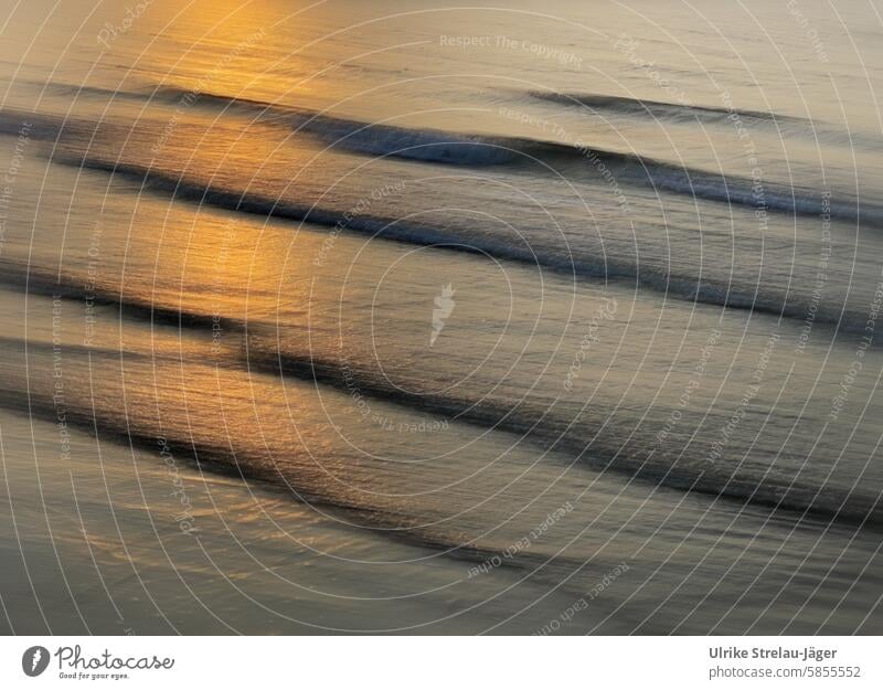 Wellen mit Sonnenuntergangsstimmung golden Nordsee Meer Sonnenlicht Dämmerung Abend Licht Abenddämmerung Meerwasser Natur Küste Wasser Erholung