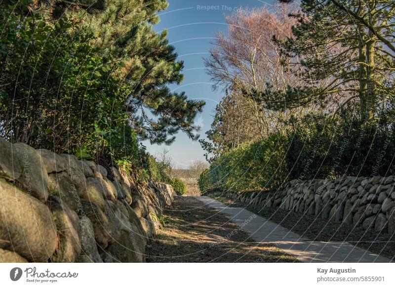 Gasse Sylt Friesenwall Farbfoto Natur Wattenmeer Nationalpark Uferzone Insel Sylt Insellage Steinwall Naturschutzgebiet Naturerlebnis Naturliebe Weg draußen