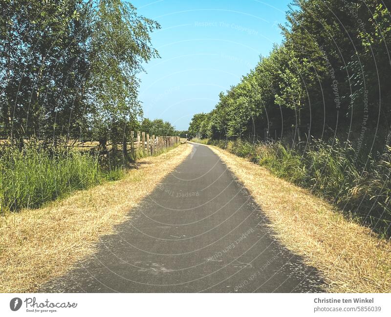 Sommertag Radweg Weg Fahrradweg gemähte Gräser Wolken Spazierweg Fahrradfahren schönes Wetter trocken abgemäht Gras Natur Einsamkeit Freizeit Ruhe Bäume