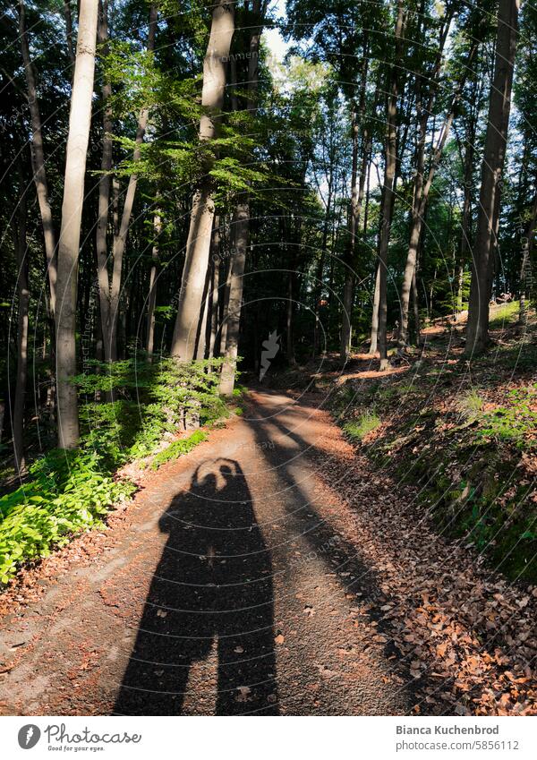 Zwei Menschen laufen einen Waldweg entlang und halten an um ein Schattenherz mit den Armen zu formen. Schattenspiel Licht und Schattenspiel Schattenwurf