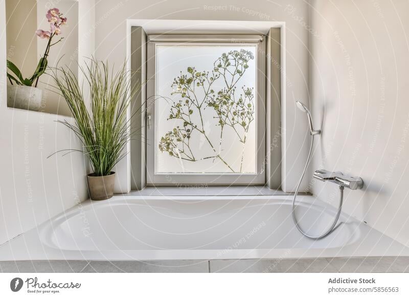 Modernes Badinterieur mit natürlichem Licht und Pflanzen Innenbereich Design modern Badewanne Fenster Ansicht Gelassenheit sehr wenige elegant erdig Atmosphäre